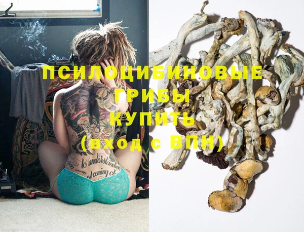 мдма Богданович