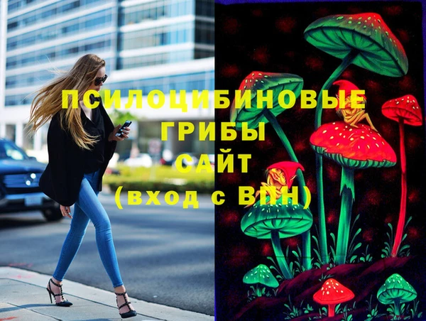 наркотики Белокуриха