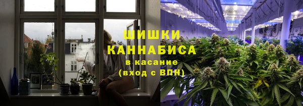 мдпв Богородицк