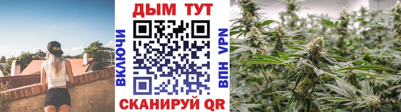 Каннабис Amnesia  купить  цена  Окуловка 